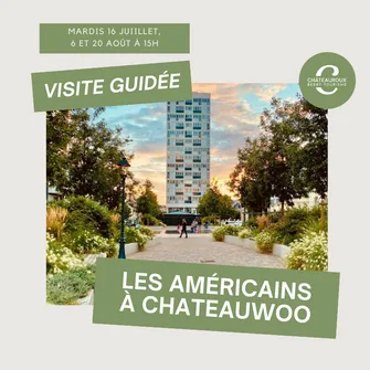 Les américains à Châteauwoo