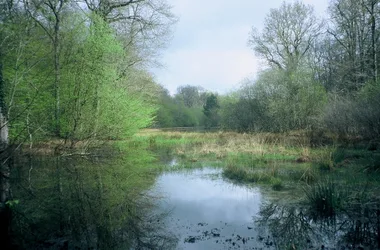 Berthommiers pond