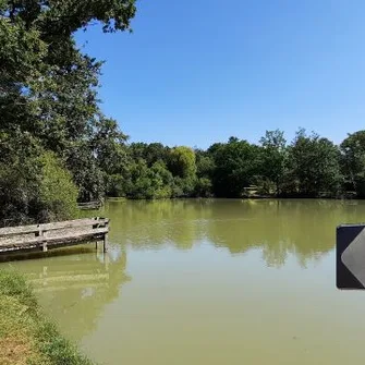 Etang communal des Marnières