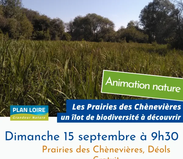 Balade nature sur les prairies des Chènevières