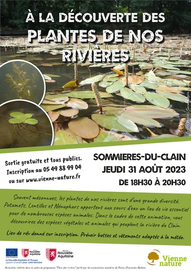 A la découverte des plantes de nos rivières