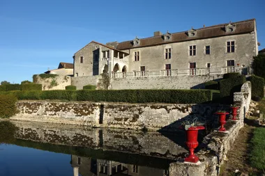 Château de Cibioux à Surin_3