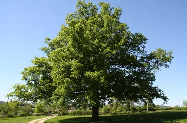 La Grange de La Ferdière