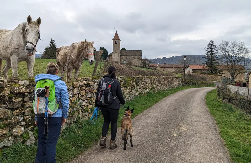 Saint-Jacques de Compostelle – De Cluny à Tramayes