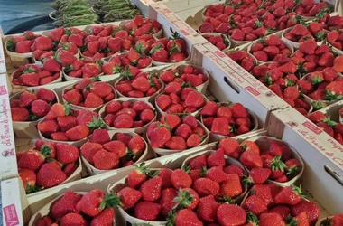 Marché de Cluny