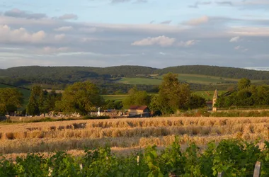 Gîte “Cœur du Lys”