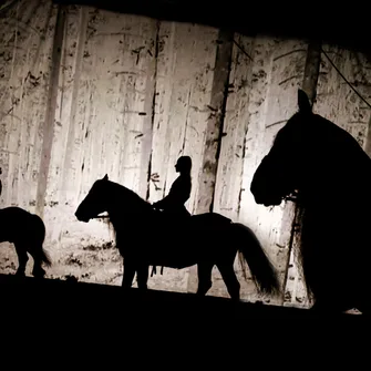 Spectacle équestre de l’été  “Prohibé”