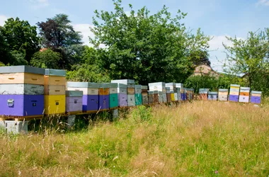 Le Logis d'Azé, les ruches au fond du jardin