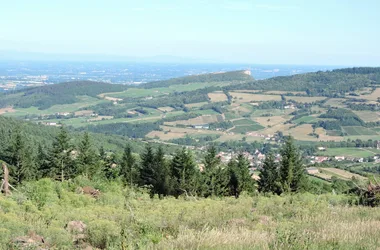 Randonnées découverte accompagnées du Val Lamartinien