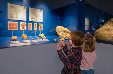 Au musée de préhistoire
