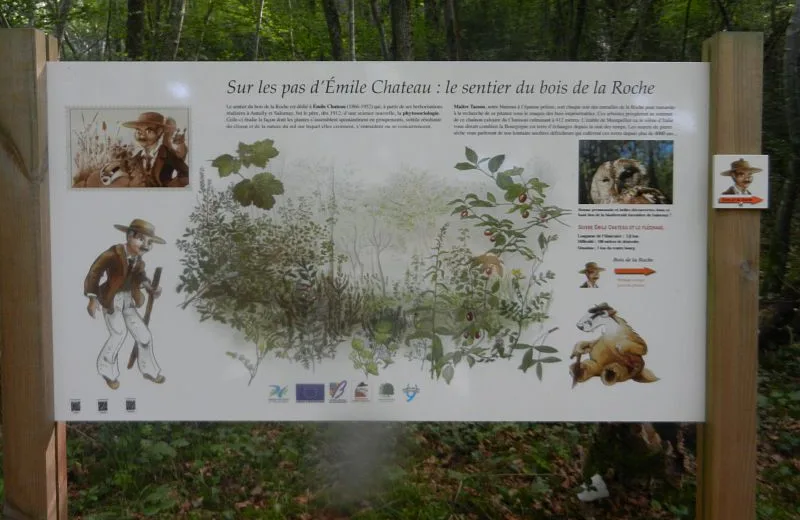 Le Bois de la Roche Salornay / E CHATEAU