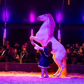 Spectacle de l’Automne – Chevaux & Orchestre