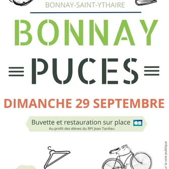 Puces de Bonnay