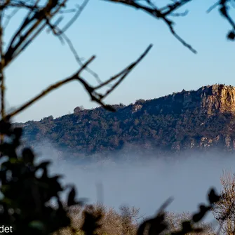 Réveil photographique sur la Roche de Solutré