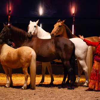 Spectacle de l’Automne – Chevaux & Orchestre