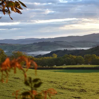 Trail du Haut Clunysois 2024