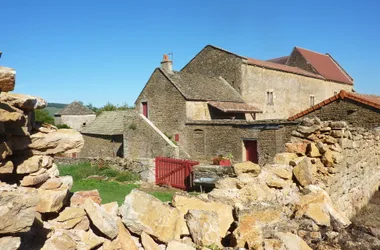 Balade en forêt des Trois Monts