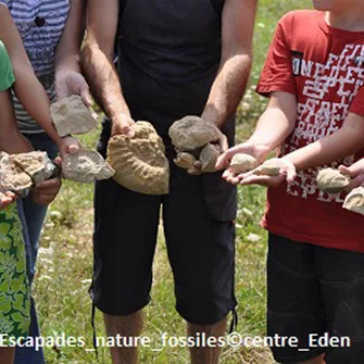 Escapades nature : “L’aventure fossiles”