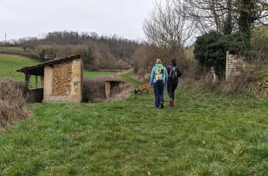 Sur les traces d’Hugues de Semur – De Suin à Cluny