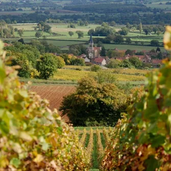 Les Pierres Dorées