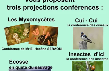 Ouvrons les yeux sur la nature dans toute sa biodiversité