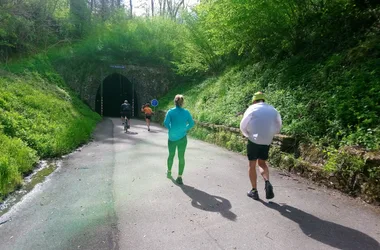 Tunnel du Bois Clair - Berzé-le-Chatel