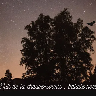 Journée et Nuit de la chauve-souris