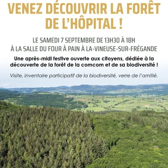 Découverte de la forêt de la Communauté de Communes du Clunisois