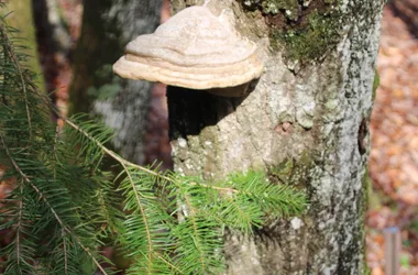 Acro’Bath, Parc de Loisirs Nature