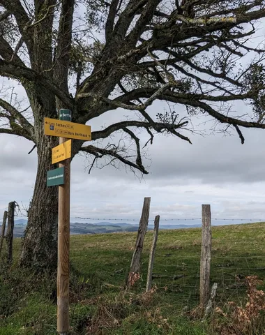 Des collines aux vieux villages – De Tramayes à Suin