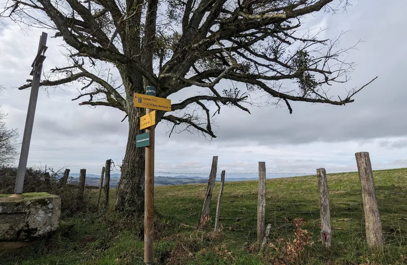 Des collines aux vieux villages – De Tramayes à Suin