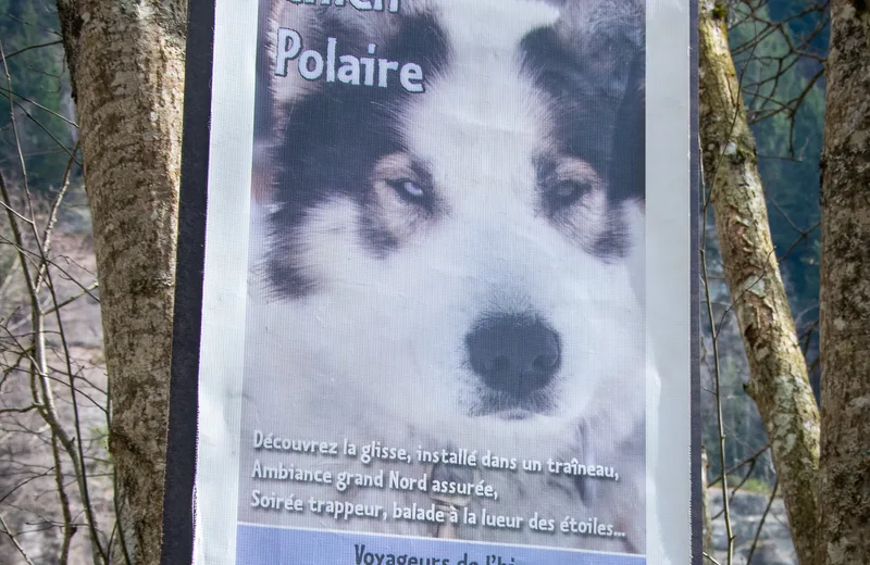 Polar Dog Park
