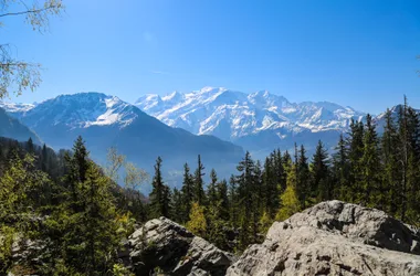 Green lake - view of Mont Blanc