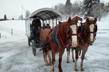 winter carriage
