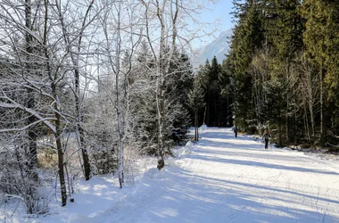 Cross-country ski route in the woods-Chamonix