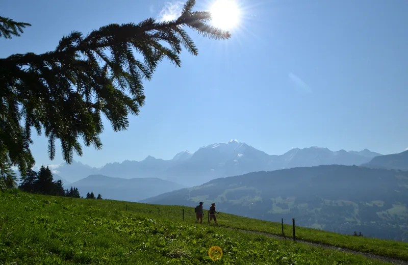 Hike facing Mont Blanc
