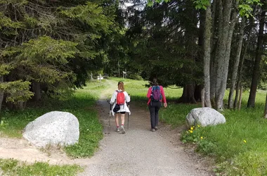 hiking trail: Mayères forest trail