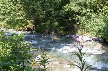 View of the Arve