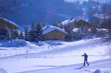 Green cross-country ski trail