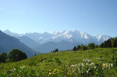 vista del Mont Blanc
