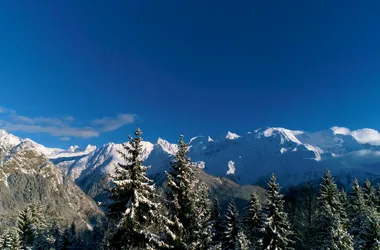 View of Mont Blanc from Plaine Joux