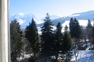 Mont Blanc view