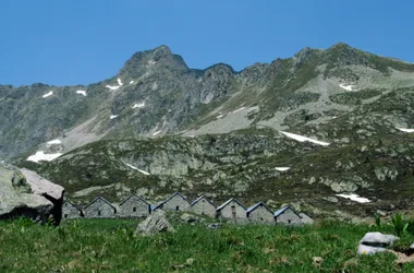 Loriaz mountain pasture