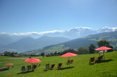Vista del Mont Blanc desde el jardín.