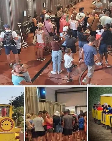 VISITE GRATUITE DU DOMAINE LA VIGNE BARBÉ EN PETIT TRAIN