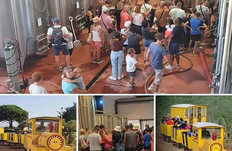 VISITE GRATUITE DU DOMAINE LA VIGNE BARBÉ EN PETIT TRAIN