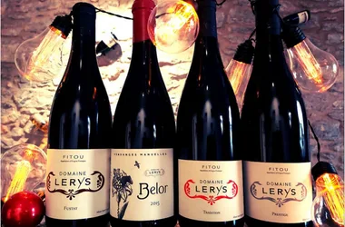 DOMAINE LERYS