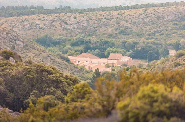 DE LA GARRIGUE AU VIGNOBLE