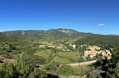 BIRDING LANGUEDOC