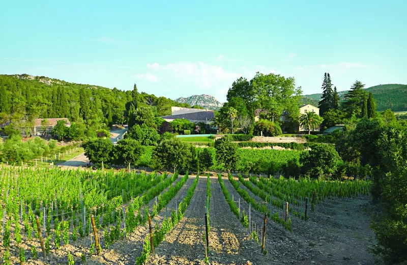 CHÂTEAU HAUT GLÉON